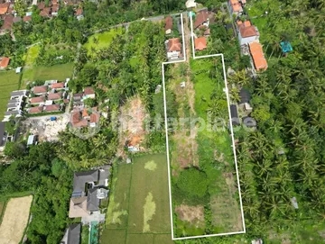 Exclusive Leasehold Land Offering in Ubud Perfect for Development