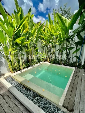 Inviting One-Bedroom Villa in the Heart of Canggu Padonan with Open Living and Relaxed Island Charm