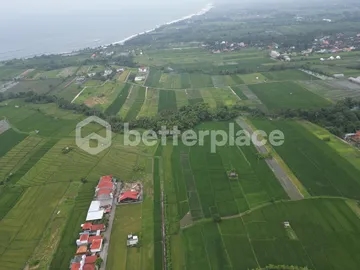 Prime 19,5 Are Freehold Land in Kedungu – A Growing Investment Opportunity