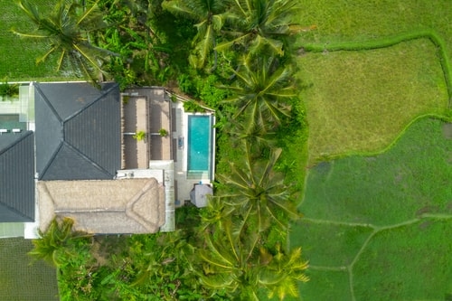 Ubud 1BR Junior Poolside, Paddy View & Culture Hub