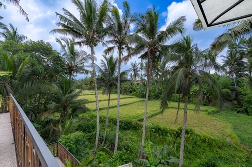 Ubud 1BR Twin Junior Suite | Paddy & Pool View