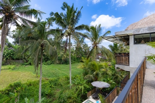 Ubud 1BR Junior Suite | Balcony & Rice Field View